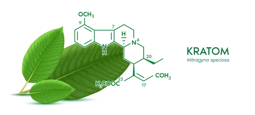 molecular formula of Kratom